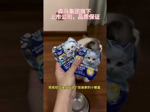 我家猫太精了，除了不会说话啥都懂