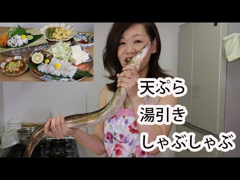 ハモを捌いて３品作っていく（家庭でもコツさえわかれば骨切りが出来る） pike conger