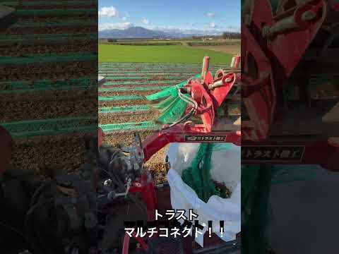 長芋マルチ回収！トラストマルチコネクト！世紀の大発明！