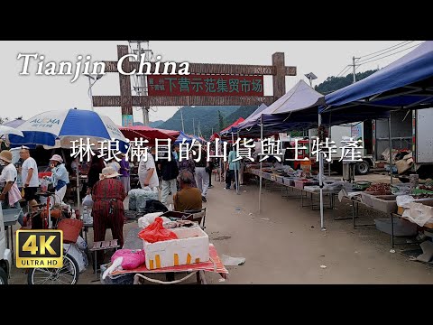 【天津·蓟州】小镇集市，琳琅满目的山货与土特产，价格很实惠 Discover the Real China in 4K HDR