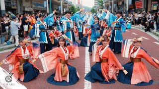 【8K】早稲田大学 東京花火『はれびより』（湘南よさこい2023 / Tokyo Hanabi 2023 “Harebiyori”）