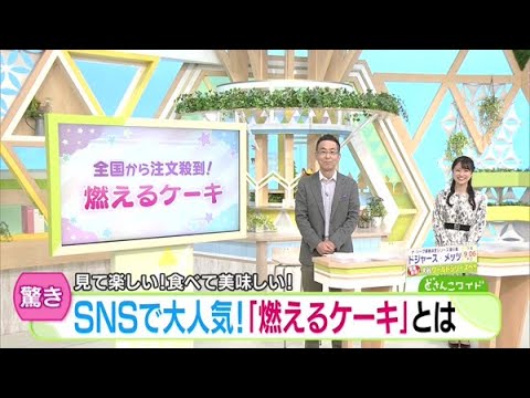 SNSで大人気！「燃えるケーキ」とは【どさんこワイド179】2024.10.21放送