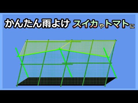 【簡単雨よけ実験経過】スイカやトマトに 家庭菜園30年目