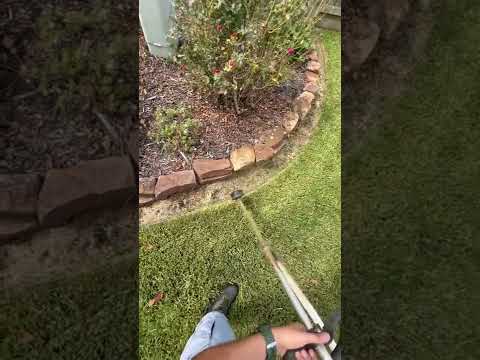 String trimmer action!! #lawncare #mowing #staugustinegrass