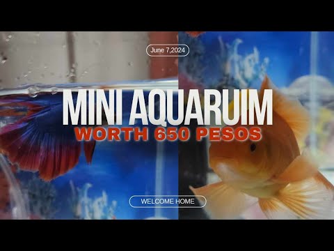 Mini Aquaruim worth 615 pesos