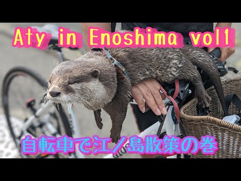 Aty came to Enoshima! Part dog Toy and Enoshima wonder if walking bicycle skillfully ride?