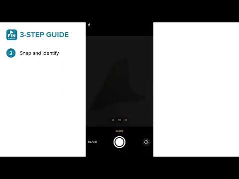 Fin Finder Mobile App