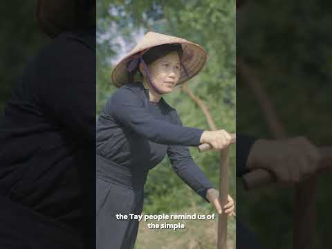 Ba Be’s Hidden Gem: The Tay Ethnic Group in Vietnam #vietnam #shorts #vietnamculture