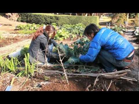 春から、体験農園！マイファーム