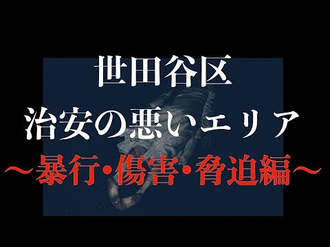 【暴行・傷害・脅迫編】世田谷区の治安をまとめてみた