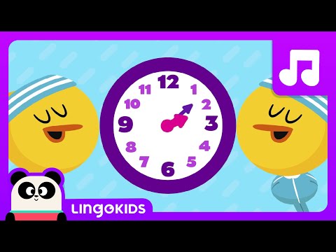 HOURS OF THE DAY ⏰ Daily Routines Song for Kids | Lingokids