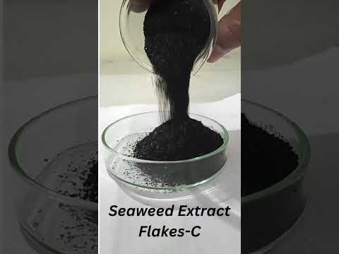 Seaweed Extract Flakes C