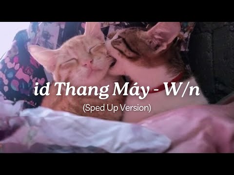 Anh có thích em không ~ | id Thang Máy (Sped Up) - W/n ft. 267 | Lyrics | Nhạc Hot TikTok