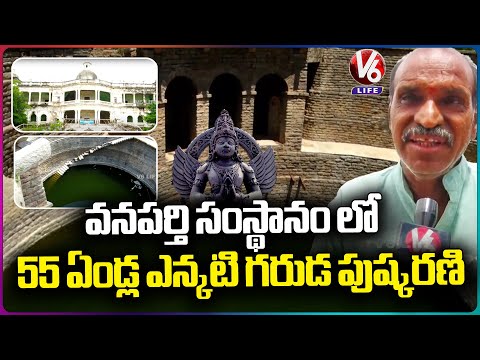 Garuda Pushkarini | Historical Stepwell In Wanaparthy | Wanaparthy Samsthanam | V6 Life