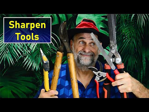 Best Sharpening Devices for Garden Tools - Review of Sharpening Options