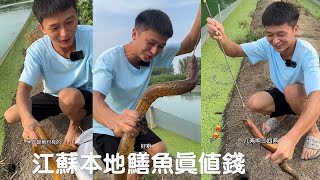 江蘇本地鱔魚這麽值錢？今天就來挑戰一下，會會江蘇的老板#viralvideo #熱門 #抓魚