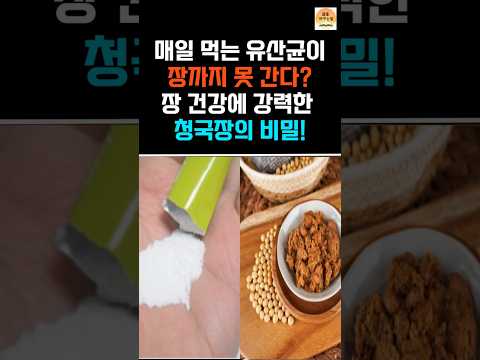 유산균 vs  청국장 승자는?