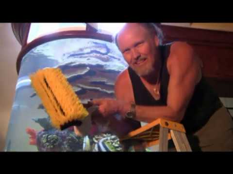 Butterflies & Angels in the Cylinder Tank, LA Fishguys Episode 90, Part 2