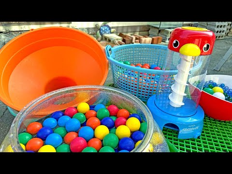 Water Marble Run Race! Transparent Water Tank + Transparent Slider + Kumikumi Slope + HABA Long ver