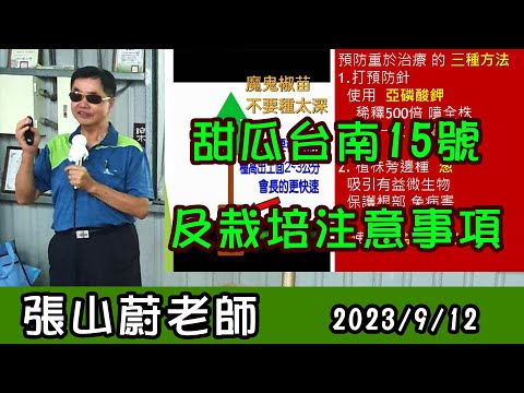 張山蔚老師介紹 甜瓜台南15號及栽培注意事項