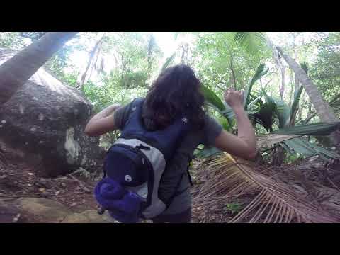 Seychelles Hike