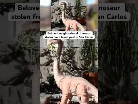 Sophia the dinosaur was stolen on Thanksgiving night in San Diego. #news #theft #dinosaur