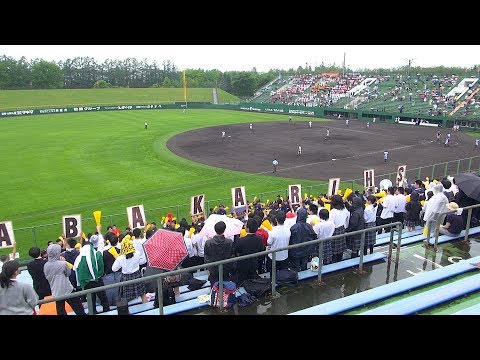 白樺学園高校vs江陵高校 第100回全国高校野球選手権 北北海道大会 十勝支部 Dブロック代表決定戦 2018/07/01