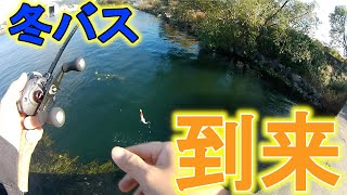 【バスフィッシング】夏より釣れる「冬バス」