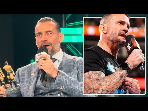 CM Punk Mattel Elite Panel