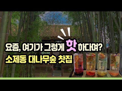 요즘 핫한 소제동 대나무 찻집(대전 소제동 카페)