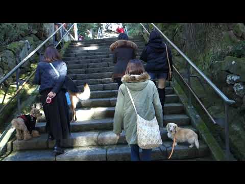 ２箱根神社