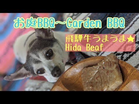 Petit luxury in the garden BBQ~ Hida beef