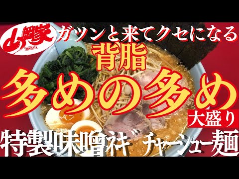 【ラーメン山岡家】大好きな特製味噌を背脂たっぷりで頂く一杯✨染みる贅沢に大満足(●´ω｀●)【岐阜 ラーメン】