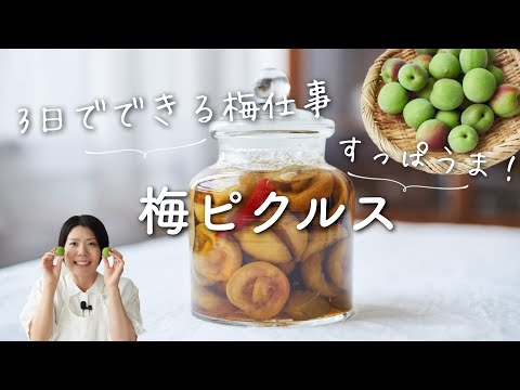 【3日でできる梅仕事】梅ピクルスのレシピ・作り方