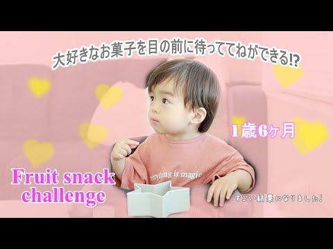 【1歳児を検証】フルーツスナックチャレンジ☆おやつを目の前に食べるのを待つことができるのか？　アメリカ育児｜子育て｜1歳6ヶ月