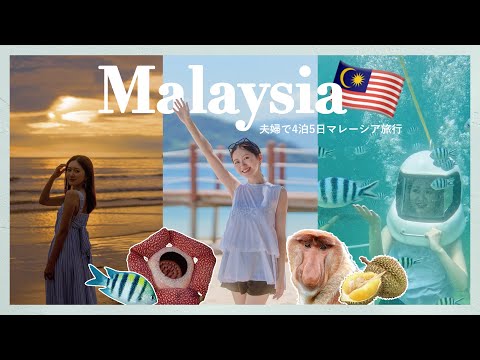 【マレーシア】人生で一度は行ってほしい！自然の宝庫ボルネオ島に4泊5日の夫婦旅🇲🇾  #コタキナバル