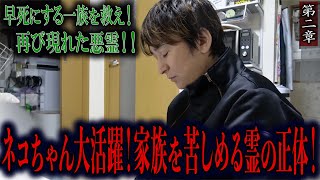 【心霊】早死にする一族を救え！再び現れた悪霊！！ 〜第二章〜 ネコちゃん大活躍！家族を苦しめる霊の正体！【橋本京明】【閲覧注意】