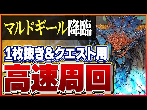 【マルドギール降臨】ネロミェールで快適周回！1枚抜き&クエストクリア用編成！【パズドラ】