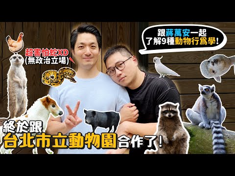 終於跟台北動物園合作了!(無政治立場無業配)跟台北市長一起了解9種動物行為學!蔣萬安居然怕蛇?蘭嶼豬可以找松露?浣熊為何會常洗手?【許伯簡芝】球蟒!狐猴!狐獴!葵花鳳頭鸚鵡!羊駝!迷你馬!雞!