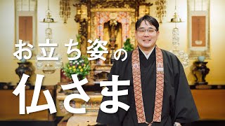 お坊さんのひとくち法話「お立ち姿の仏さま」