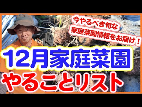 家庭菜園や農園で12月にやるべき作業！冬越しに向けての準備作業をご紹介！【農園ライフ】