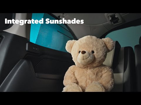 Honda Odyssey | Integrated Sunshades