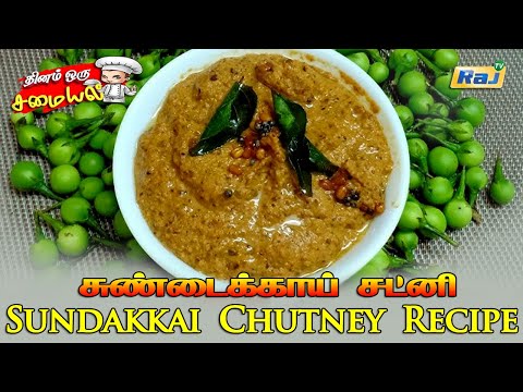 சுவையான சுண்டைக்காய் சட்னி செய்வது எப்படி? | Sundakkai Chutney Recipe | Turkey Berry Chutney | RajTv