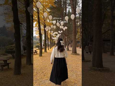 The magic of autumn on Nami Island, South Korea 🍂