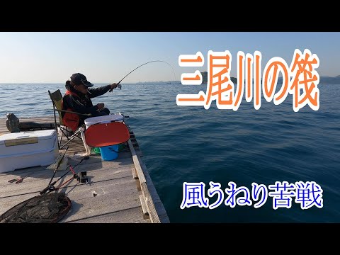 【かかり釣り】【チヌ筏】由良三尾川の筏に行ってみた。