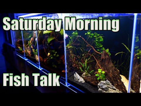 Saturday Morning Fish Talk Live Stream: Bring Some Questions and Hang Out!