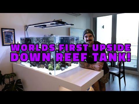 World first upside down reef aquarium! part 1