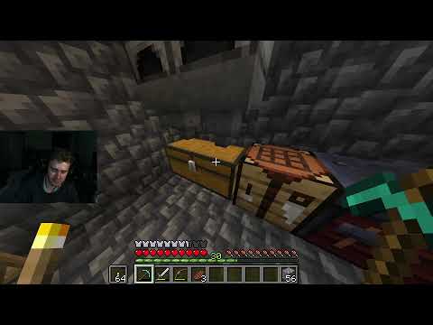 Minecraft Survival