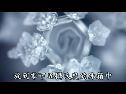 生命的答案-水知道/江本勝博士