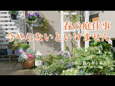 ガーデニング Vlog｜春の庭仕事 今やらないといけません｜芝生の手入れ｜春の水やり 〜小さな庭のある暮らし 115〜Gardening ｜ Life in a tiny garden